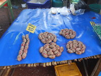 DSCN9184.JPG