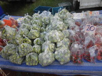 DSCN9189.JPG