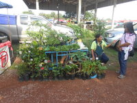 DSCN9187.JPG