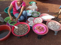 DSCN9192.JPG