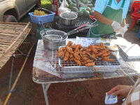 DSCN9205.JPG