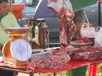 DSCN9200.JPG