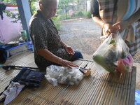 DSCN9213.JPG
