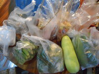 DSCN9224.JPG