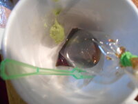 DSCN9236.JPG