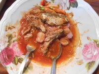 DSCN9231.JPG