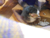 DSCN9307_new.jpg DSCN9307_new.jpg