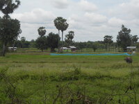 DSCN9342_new.jpg