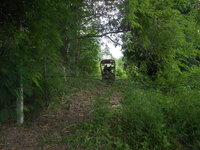 DSCN9339_new.jpg
