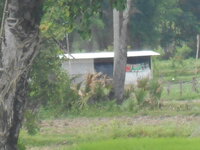 DSCN9344_new.jpg