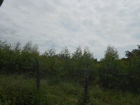 DSCN9353_new.jpg