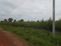 DSCN9354_new.jpg
