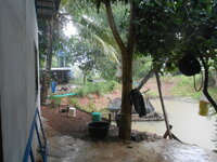 DSCN9401_new.jpg