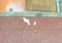 IMG_20210515_113539.jpg