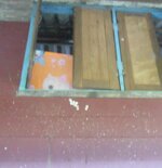IMG_20191118_184725.jpg