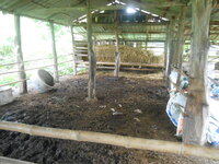 DSCN9420.JPG