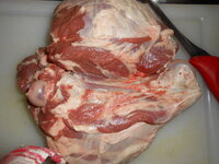 DSCN8592.JPG