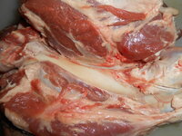 DSCN8596.JPG