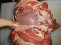 DSCN8598.JPG