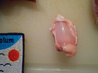 DSCN8631.JPG