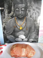 DSCN8695.JPG