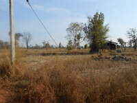 DSCN6201.JPG