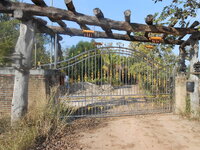 DSCN6203.JPG