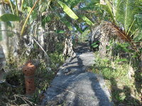 DSCN6214.JPG DSCN6214.JPG