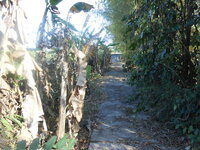 DSCN6217.JPG