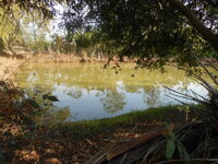 DSCN6218.JPG