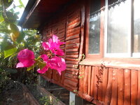 DSCN6225.JPG
