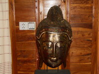 DSCN6242.JPG