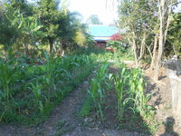DSCN6246.JPG