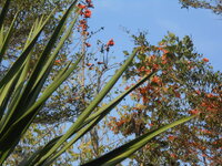 DSCN6195.JPG