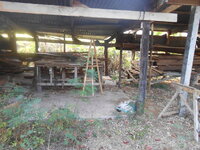 DSCN6250.JPG