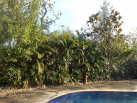 DSCN6194.JPG