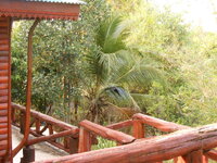 DSCN6289.JPG