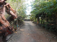 DSCN6186.JPG