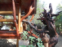 DSCN6185.JPG