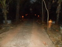 DSCN6296.JPG
