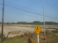 DSCN6338.JPG