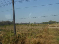 DSCN6339.JPG