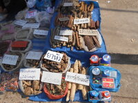 DSCN6353.JPG