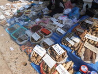 DSCN6354.JPG