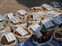 DSCN6355.JPG
