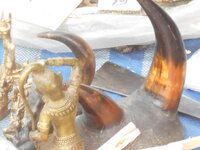 DSCN6356.JPG
