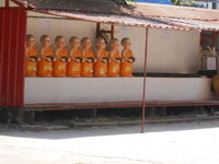 DSCN6442.JPG