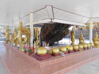 DSCN6457.JPG