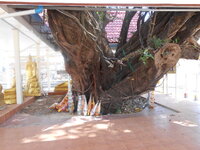 DSCN6458.JPG