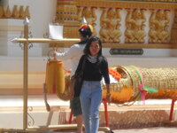 DSCN6461.JPG